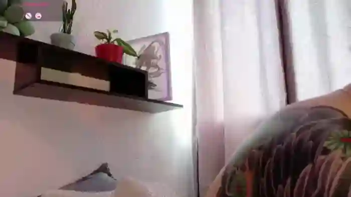 Dan_universe