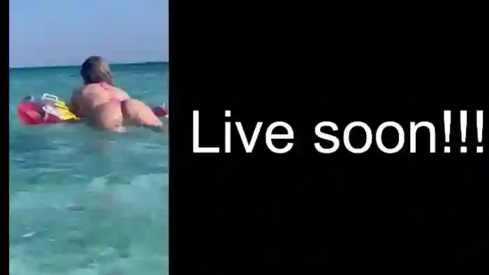 Allie_Synn