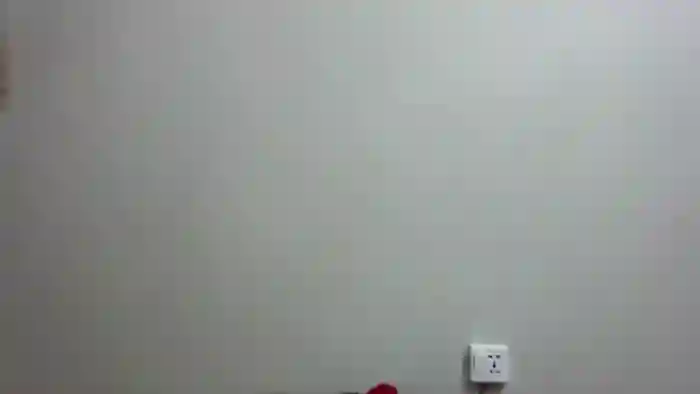 AsianDoll2000