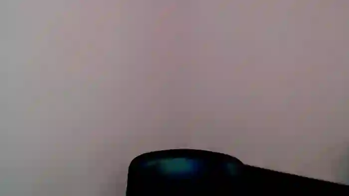 Nikonara_
