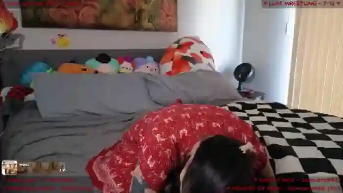 MollyMeowz