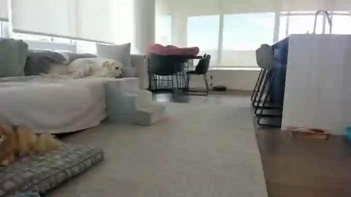 Mollyboots