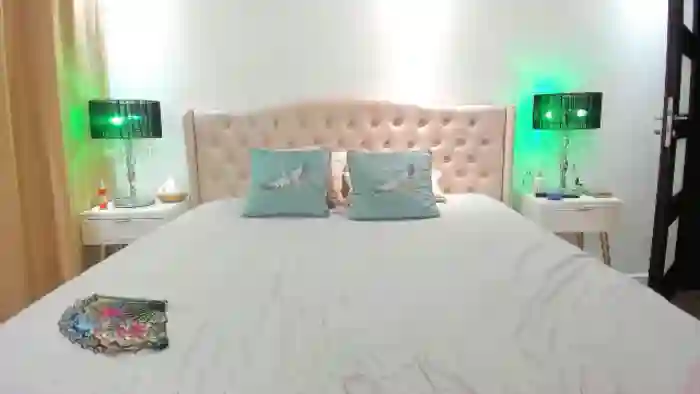 SassyR