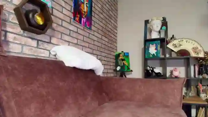 Omniaa