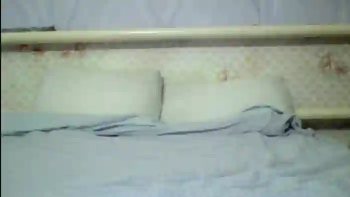Stepfania