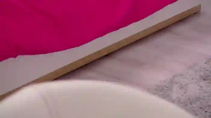 Squirrel_MFC