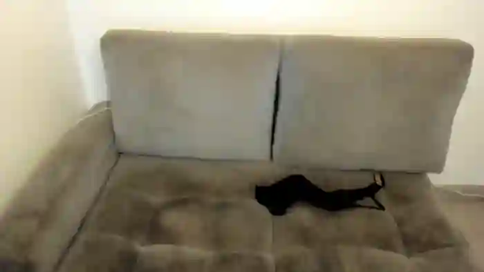 Kiaraowen