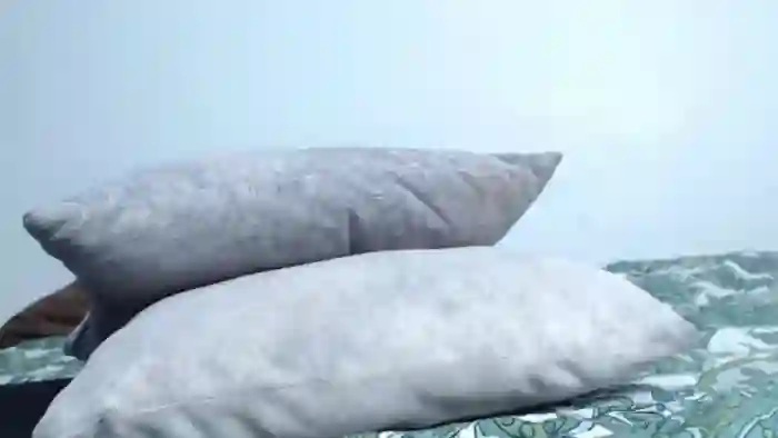 Camii_osoriio