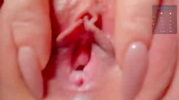 Elysi_