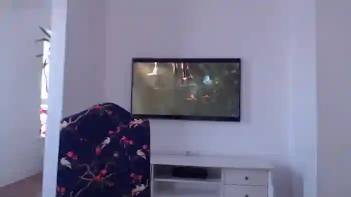 IntruderRorry