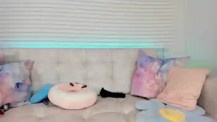 Tiny_Cora