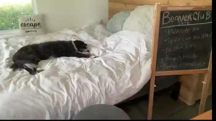 PurrtyMetal