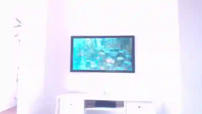 IntruderRorry