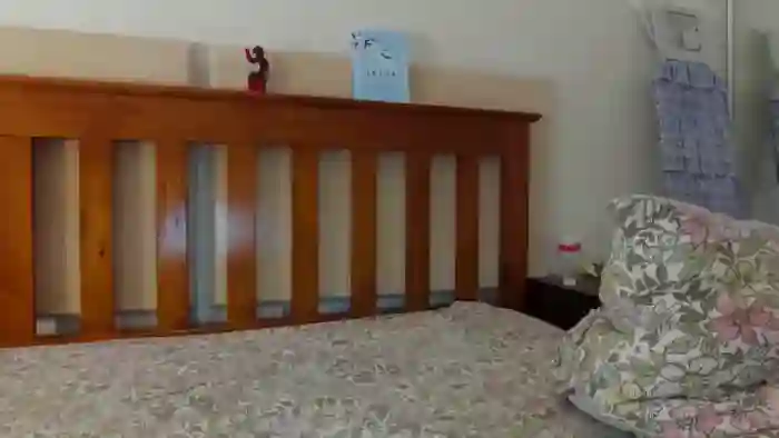 AliceFunker
