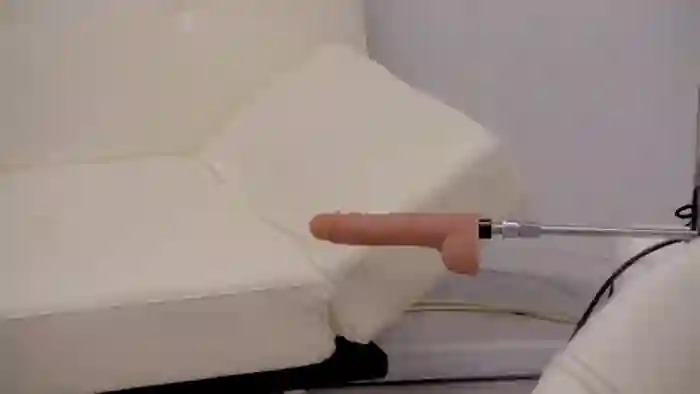 Squirrel_MFC