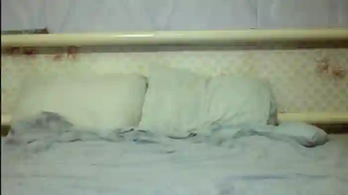 Stepfania