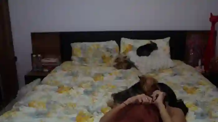 TinyAndrea