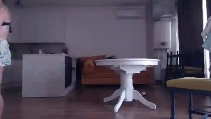 IntruderRorry