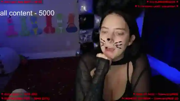 MollyMeowz