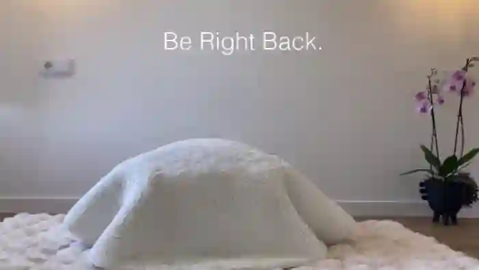 V_e_r_o_