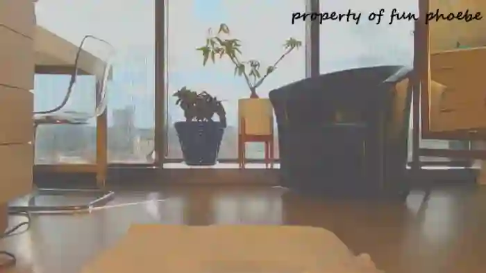 Fun_Phoebe