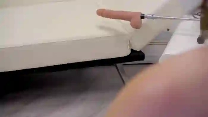 Squirrel_MFC
