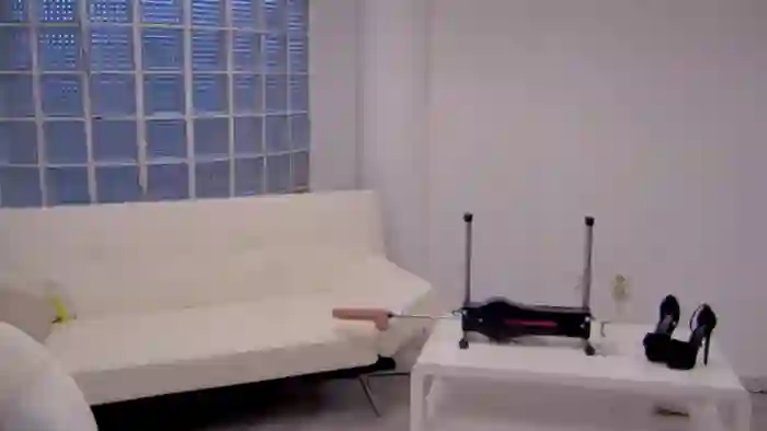 Squirrel_MFC