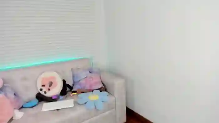 Tiny_Cora