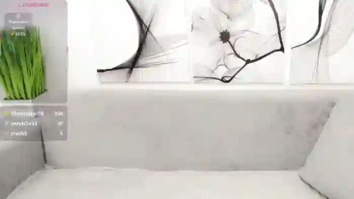VitaCraft_