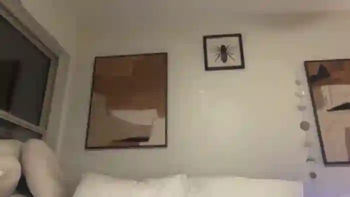 aspen_xx