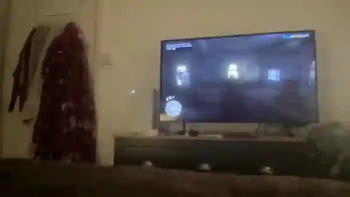 LarasDen