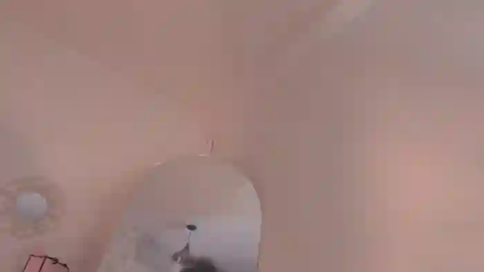 Emily_kim