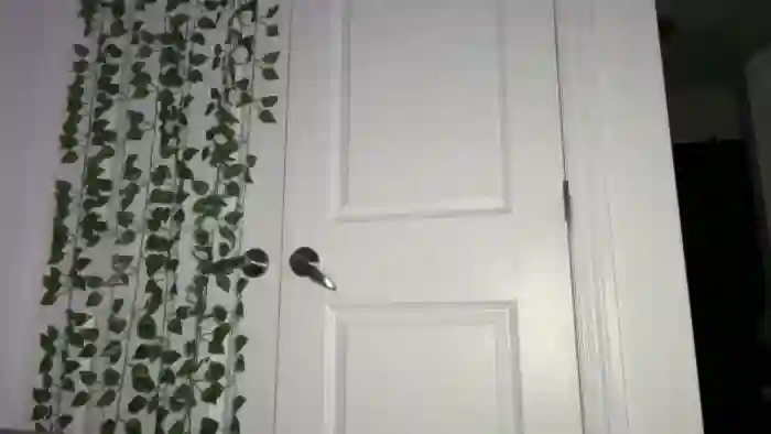 mayflowers