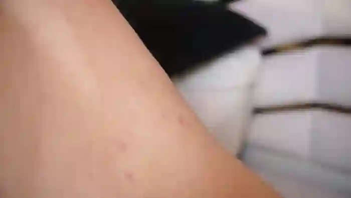 Ambar_rosse25