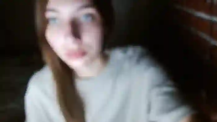 LiraFox