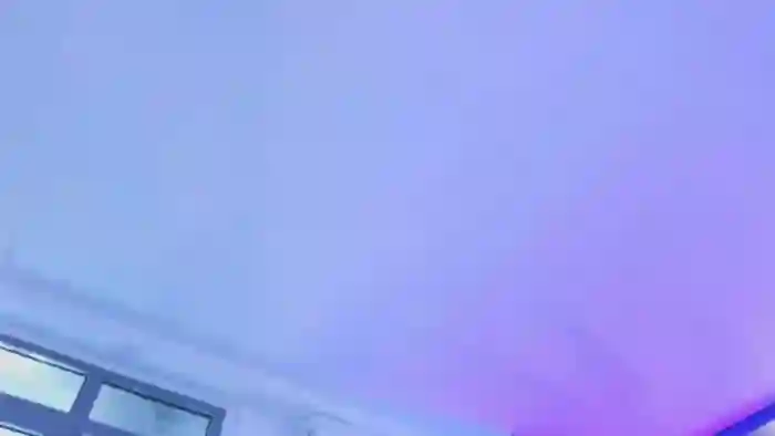 BustyBabeX