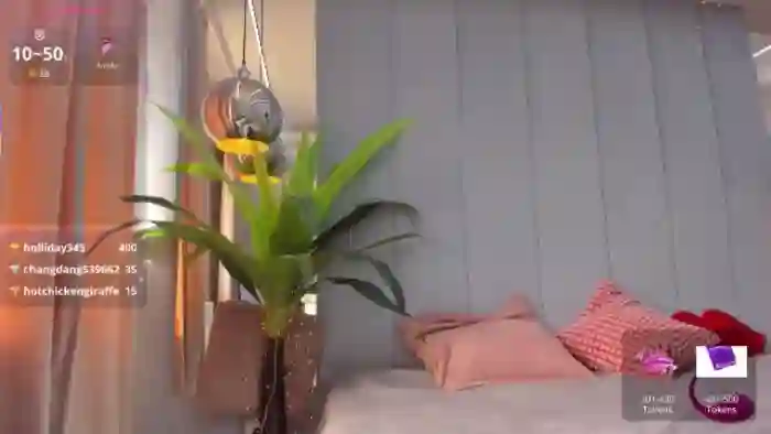 NayraDream