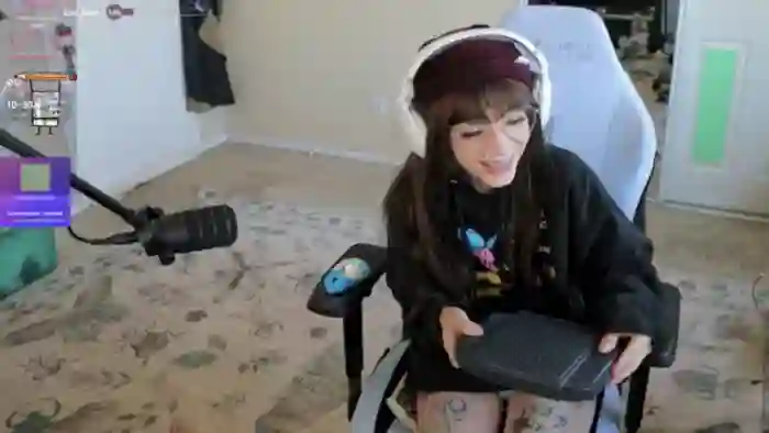 Shellybeans