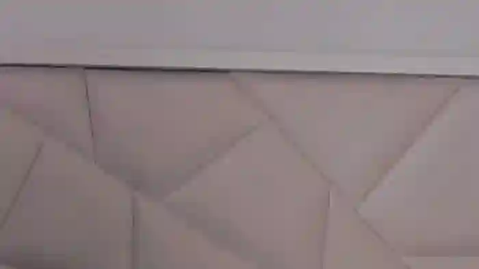 Megui