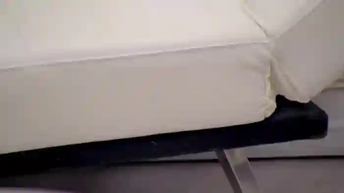 Squirrel_MFC