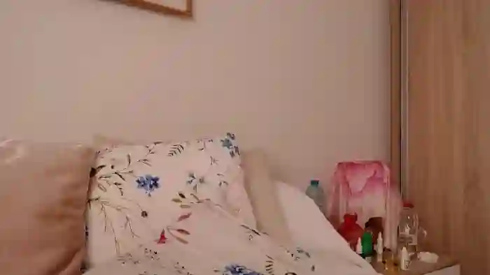 cheetah_