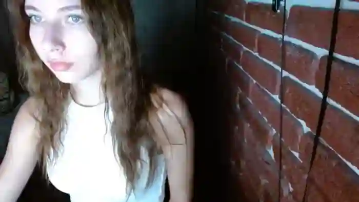 LiraFox