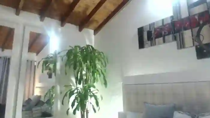Pamelas_