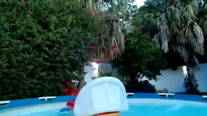 Mexicanissima