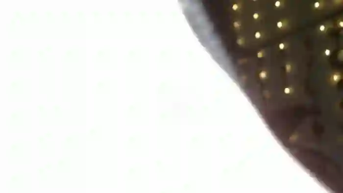 TitsMcgeee