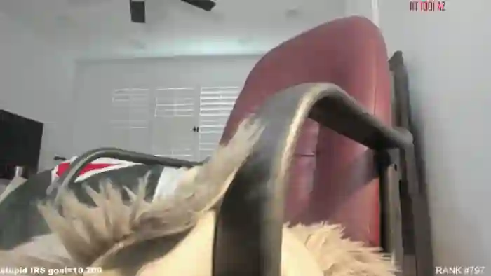 ExoticLILYxo