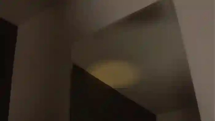 belledejour