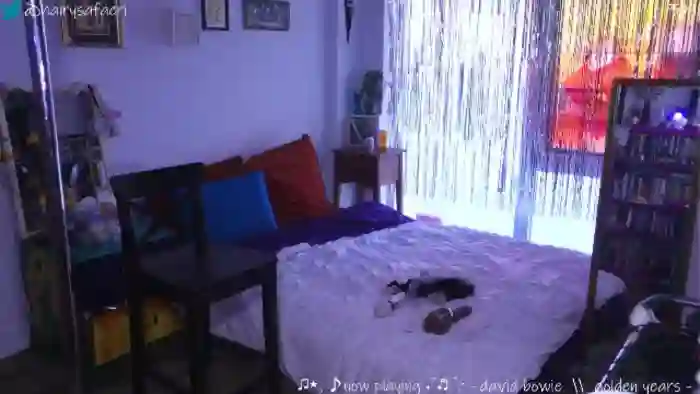 hairysafaeri