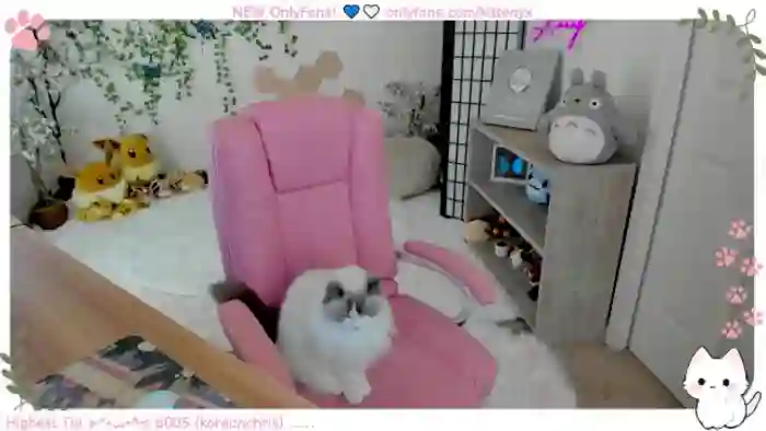 kittenyx