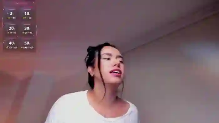 Samispank